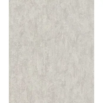 Tapeta Vliesová tapeta na zeď Rasch 458022, kolekce Andy Wand Šedá