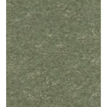 Tapeta Vliesová tapeta na zeď Rasch 554359, Composition Zelená