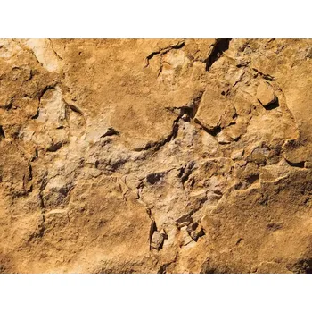 Fototapeta Vliesová fototapeta na zeď Rasch, 101072, Young Artists