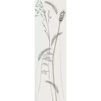 Fototapeta Vliesová fototapeta na zeď MA963485