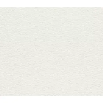 Tapeta Přetíratelná tapeta na zeď Rasch 325904, rozměr Bílá (přetíratelná)