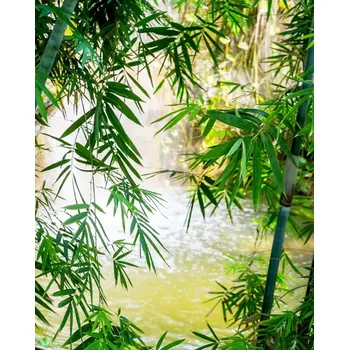 Fototapeta Vliesová fototapeta na zeď Rasch 363364, Magic Walls