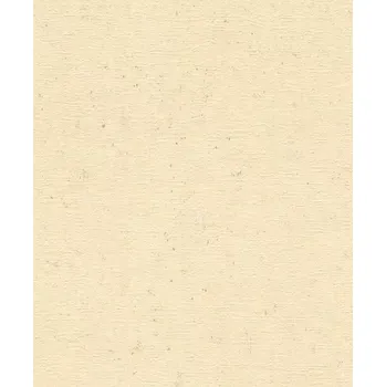 Tapeta Vliesová tapeta na zeď Rasch 520842, Factory V Béžová