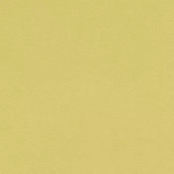 Tapeta Vliesová tapeta na zeď Rasch 449839, kolekce Kalahari Žlutá