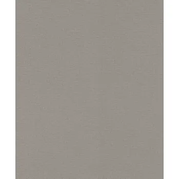 Tapeta Vliesová tapeta na zeď Rasch 555875, Lirico Šedá