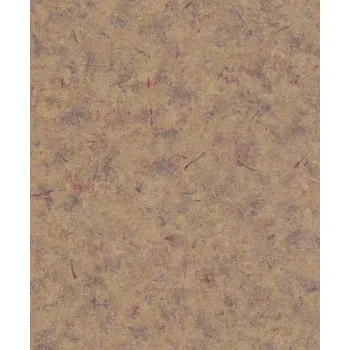 Tapeta Vliesová tapeta na zeď Rasch 649710, kolekce Andy Wand Béžová;Pestrobarevná