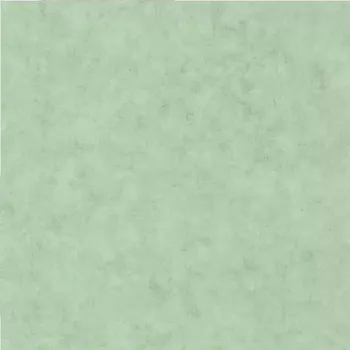 Tapeta Vliesová tapeta na zeď Caselio 101487516 BETON Zelená