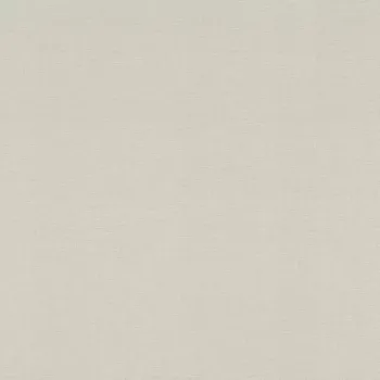 Tapeta Vliesová tapeta na zeď Rasch 531336, Stories Šedá