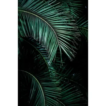 Fototapeta Vliesová fototapeta na zeď Rasch, 100990, Young Artists