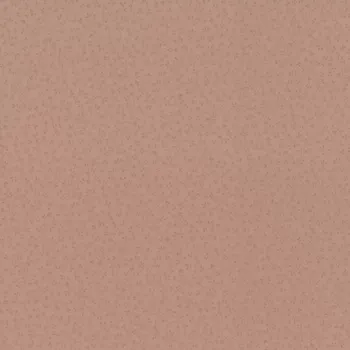 Tapeta Vliesová tapeta na zeď Rasch 710793, Sophia Starorůžová