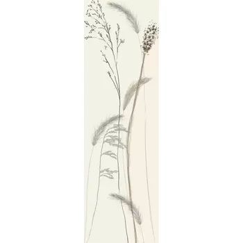 Fototapeta Vliesová fototapeta na zeď MA963487