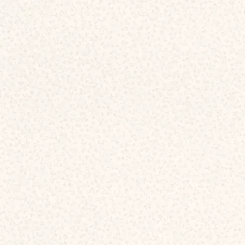 Tapeta Vliesová tapeta na zeď Rasch 710779, Sophia Bílá;Šedá