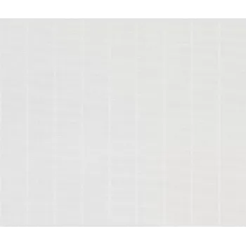 Tapeta Přetíratelná tapeta na zeď Rasch 329209, rozměr Bílá (přetíratelná)