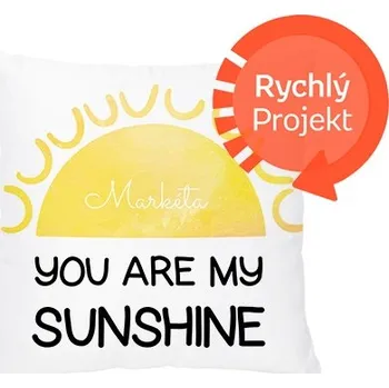 Dekorativní polštářek Polštářek, bavlna, Jsi moje sluníčko, 38x38 cm