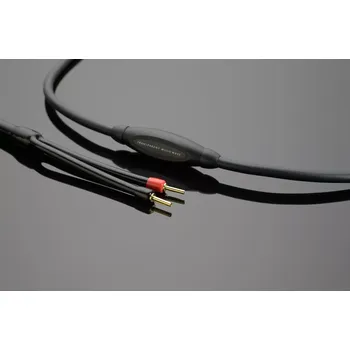 Audio kabel Transparent Audio MusicWave Speaker Cable | 2x3m