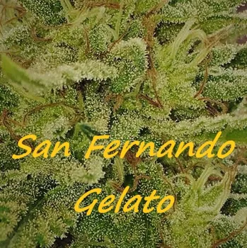 Semeno Dr. Underground - San Fernando Gelato 2 ks
