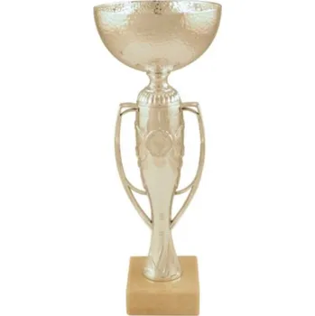 Šipkařský pohár s ušima ProZona stříbrný, vysoký 29,5 cm