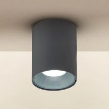 Bodové svítidlo Brilagi - Bodové svítidlo TRINE 1xGU10/30W/230V antracit