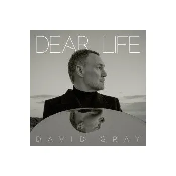Zahraniční hudba Dear Life - Gray David [CD]