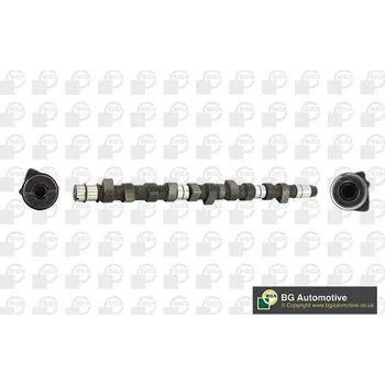 Vačková hřídel Vačkový hřídel BGA CS3384