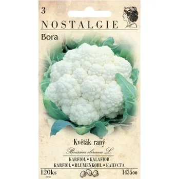 Pěstitelství Květák raný BORA