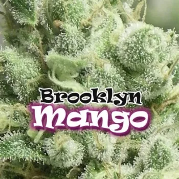 Semeno Dr. Underground - Brooklyn Mango 2 ks