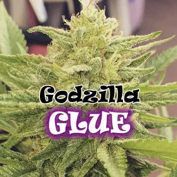 Semeno Dr. Underground - Godzilla Glue 25 ks