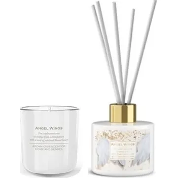 Aroma difuzér 2 ks Angel wings