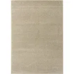 Kusový koberec DOLCE VITA 01/EEE - 160 x 230 cm