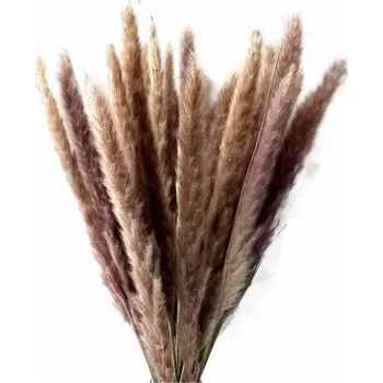 Pampas small 15 ks natural