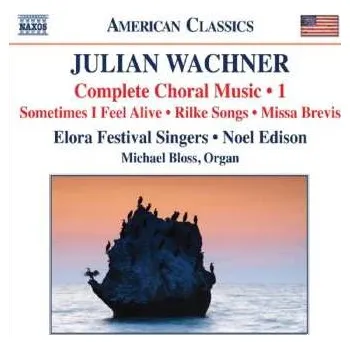 Zahraniční hudba CD Julian Wachner: Complete Choral Works - 1 2010