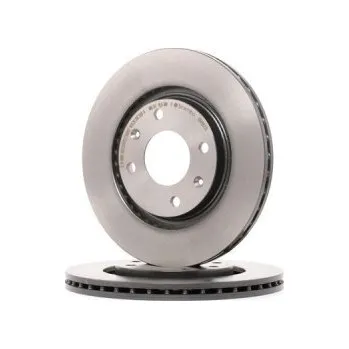 Brzdový systém Brzdové kotouče Peugeot 305 II Break (581E) 1.6, 1.9 - BREMBO