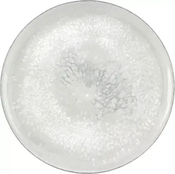 Talíř Mělký talíř Bauscher Smart průměr 20,2 cm, dekor Salt