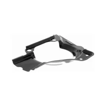 Brzdový kotouč Ochranný plech proti rozstřikování Fiat BRAVA (182_) - DACO Germany