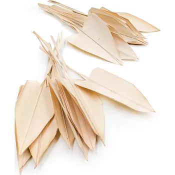 mech-mech.cz Sušená řezaná palma (Palm Spear) - Šipka - Vybělená