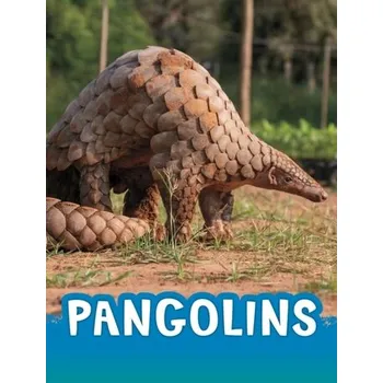 Příroda Pangolins - Jaycox, Jaclyn [EN] (2023, Brožovaná, Capstone Global Library Ltd)