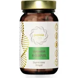 Lipozomální B-komplex Puravia LABS 30 kapslí