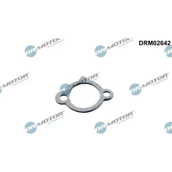 Těsnění motoru Těsnění, napínák rozvodového řetězu Dr.Motor Automotive DRM02642