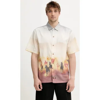 Pánská košile Bavlněná košile Dickies pánská, šedá barva, relaxed, s klasickým límcem, DK0A8676K411 MLA, vel. S