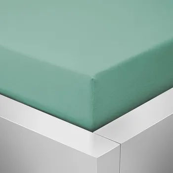 Prostěradlo Homeville jersey prostěradlo ELASTIC celadon - 180x200 cm