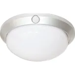 W121-STR FLAVIA Ecolite