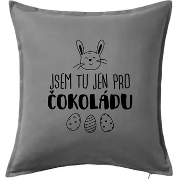 Polštář Jsem tu jen pro čokoládu - Polštář 50x50 - 50x50 - Pouze potah ( Tmavě šedý melír )