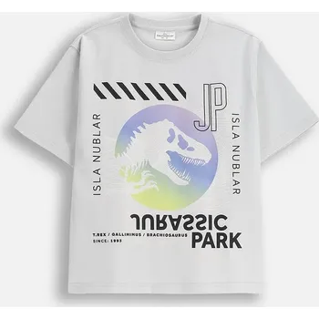 Chlapecké tričko Dětské bavlněné tričko Coccodrillo WC5143219LBD šedá 09X, vel. 146