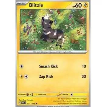 Sběratelská karetní hra Pokémon WHT 031/086 Blitzle - White Flare Stav: Near Mint, Verze: NORMAL