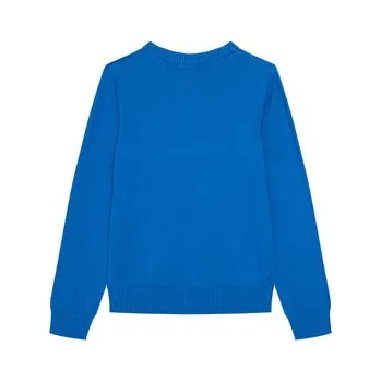 Pánské oblečení Guess Svetr L5YR01 Z0140 Modrá Regular Fit 14Y