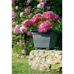 Obal čtyřhranný Begonia - antracit 50x50 cm