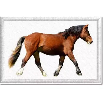 Textilie k potisku Pelisport Tištěná nášivka s koněm 7,5 x 5 cm