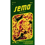 SEMO Aksamitník rozkladitý Bonanza Bee…