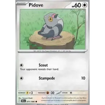Sběratelská karetní hra Pokémon BLK 071/086 Pidove - Black Bolt Stav: Near Mint, Verze: NORMAL