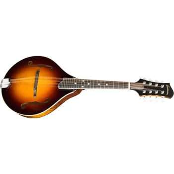 Eastman MD505-CS + prodloužená záruka 3 roky